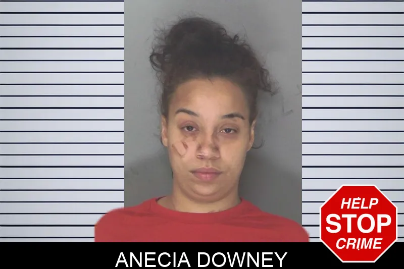 Anecia Downey mugshot