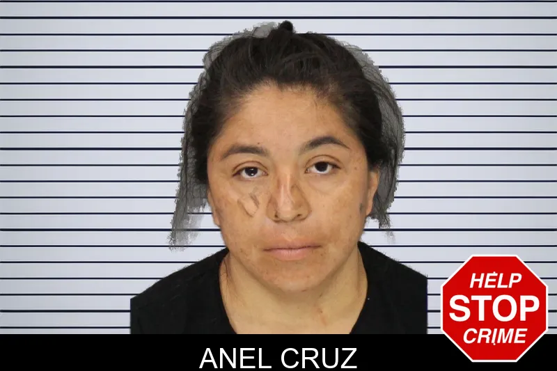 Anel Cruz mugshot