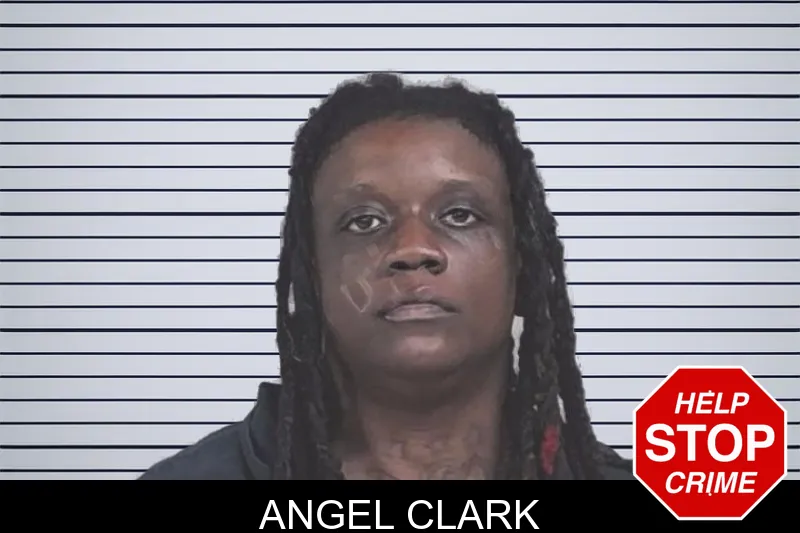 Angel Clark mugshot