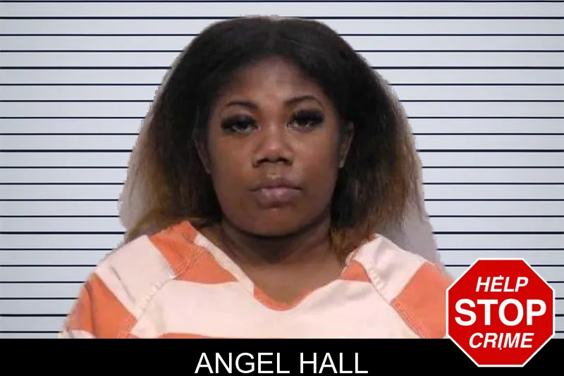 Angel Hall mugshot