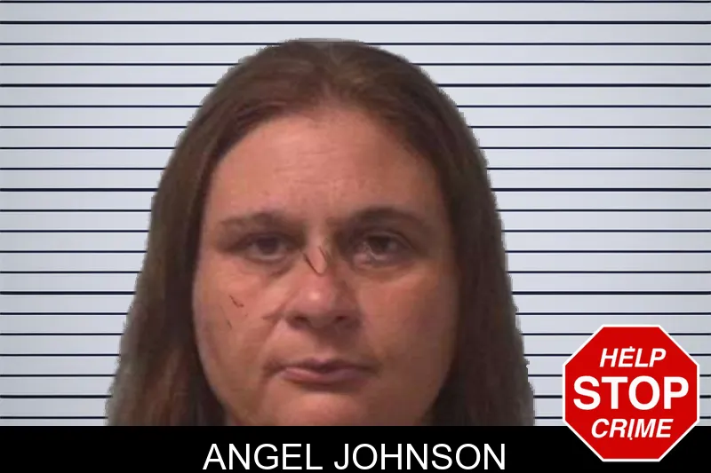 Angel Johnson mugshot