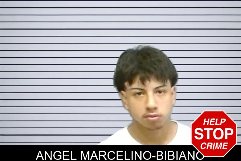 Angel Marcelino-Bibiano mugshot