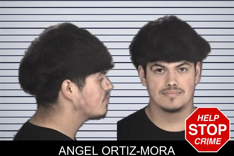 Angel Ortiz-Mora mugshot