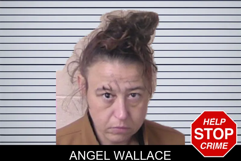 Angel Wallace mugshot