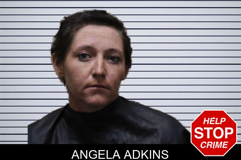 Angela Adkins mugshot