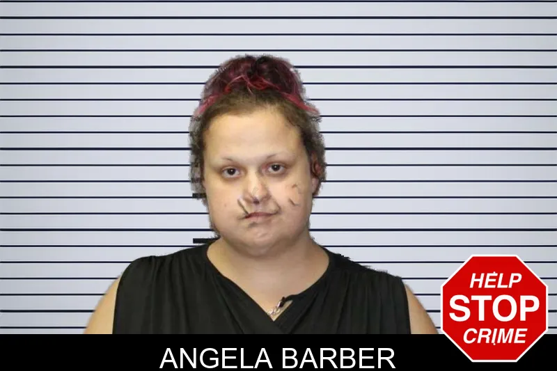 Angela Barber mugshot