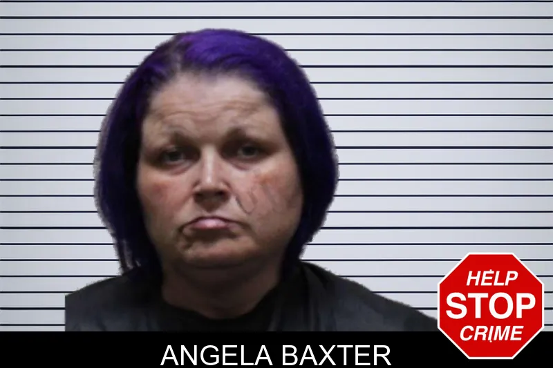 Angela Baxter mugshot