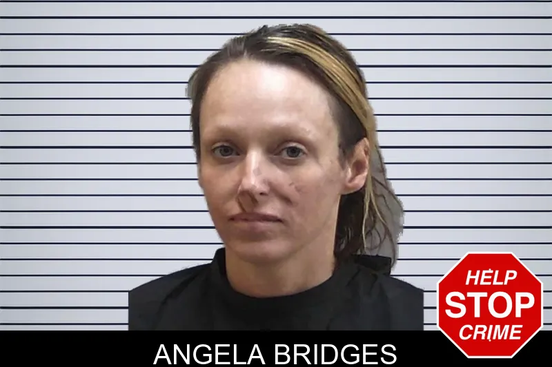 Angela Bridges mugshot