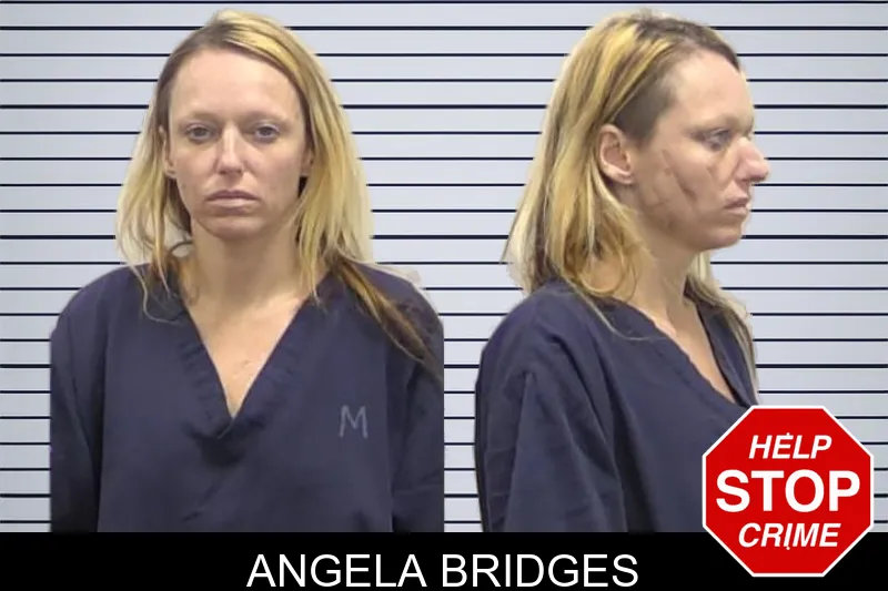Angela Bridges mugshot