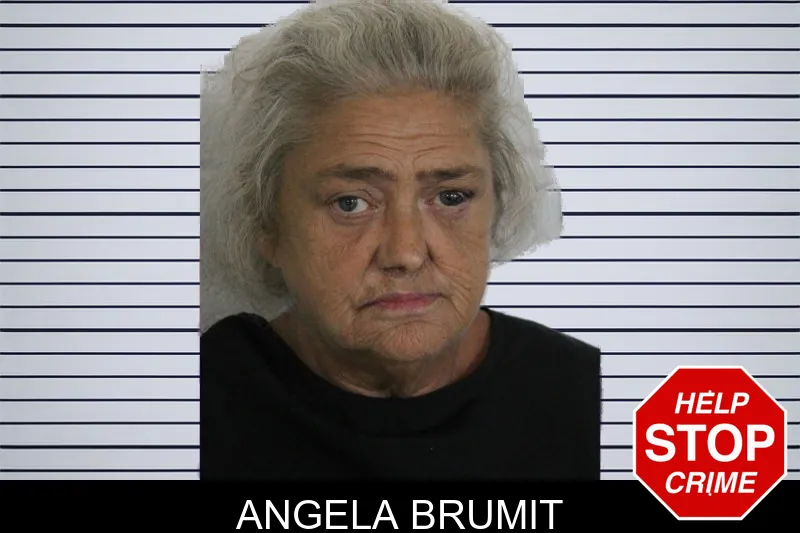 Angela Brumit mugshot