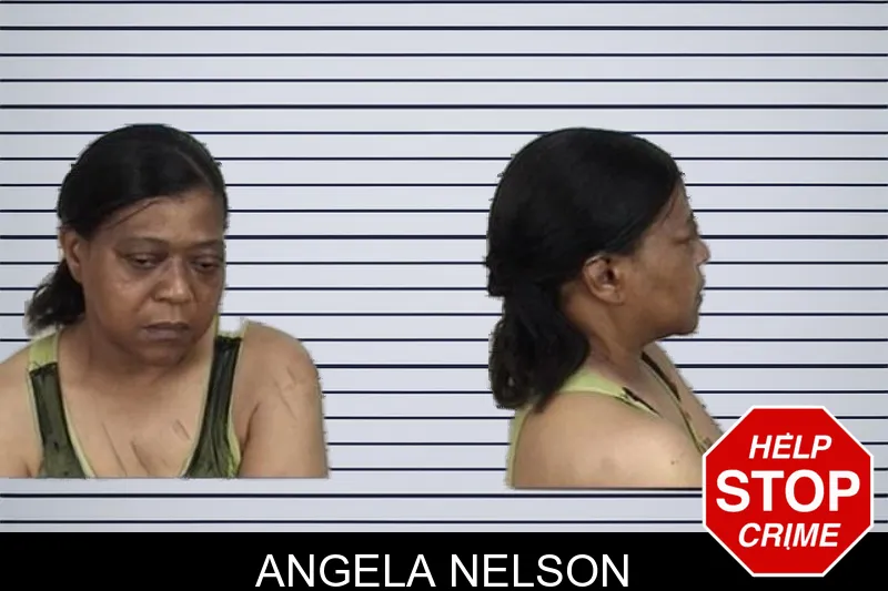Angela Nelson mugshot