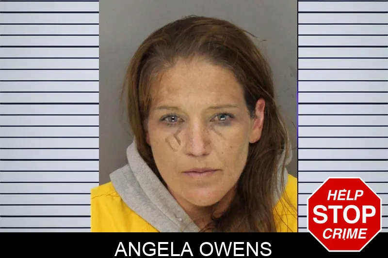 Angela Owens mugshot
