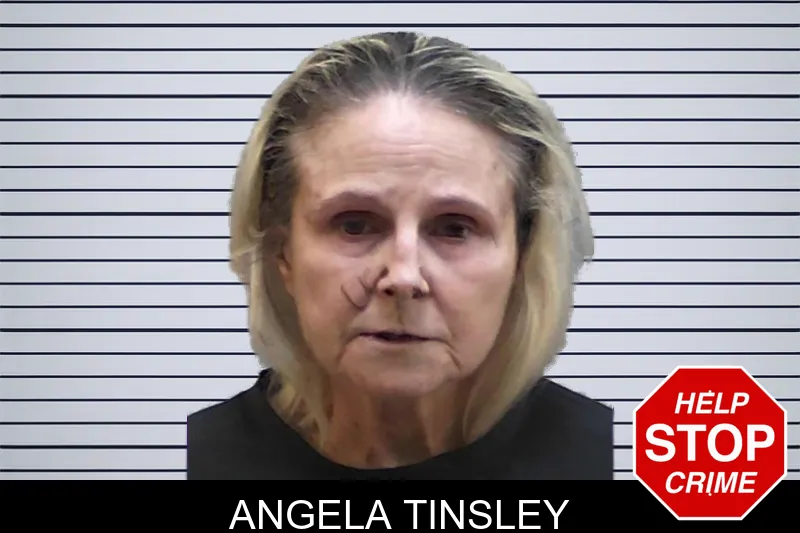 Angela Tinsley mugshot