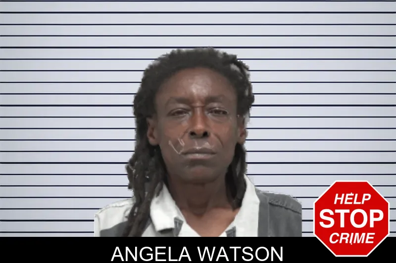 Angela Watson mugshot