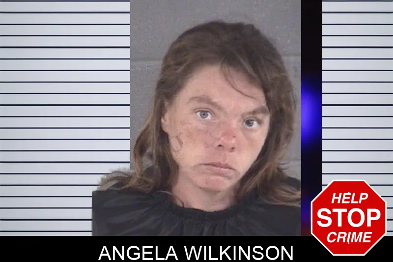 Angela Wilkinson mugshot