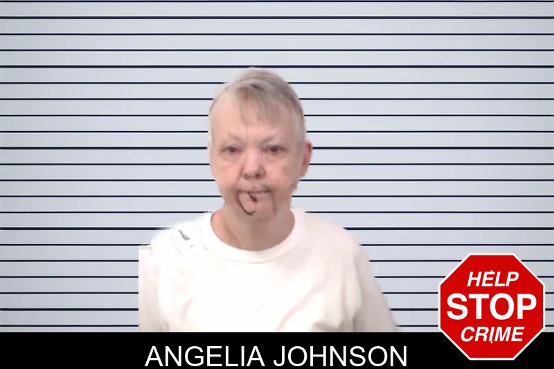 Angelia Johnson mugshot
