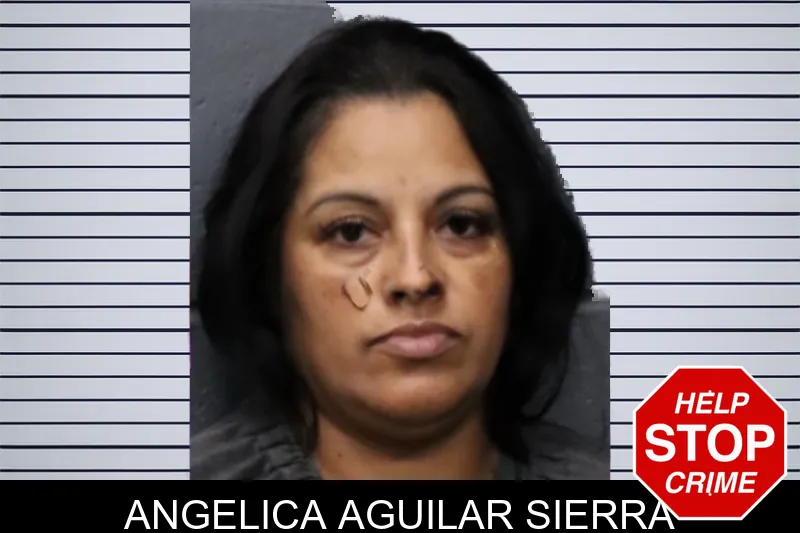 Angelica Aguilar Sierra mugshot