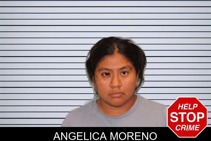 Angelica Moreno mugshot