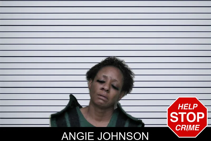 Angie Johnson mugshot