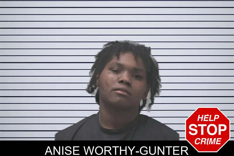 Anise Worthy-Gunter mugshot – Coweta County , Georgia Anise Worthy-Gunter mugshot