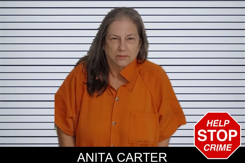 Anita Carter mugshot