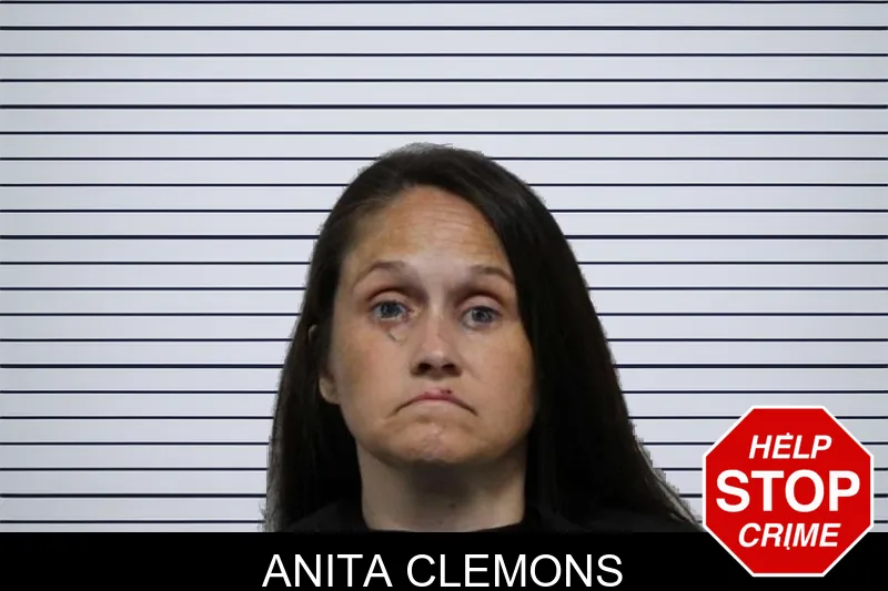 Anita Clemons mugshot