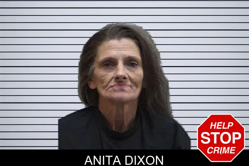 Anita Dixon mugshot
