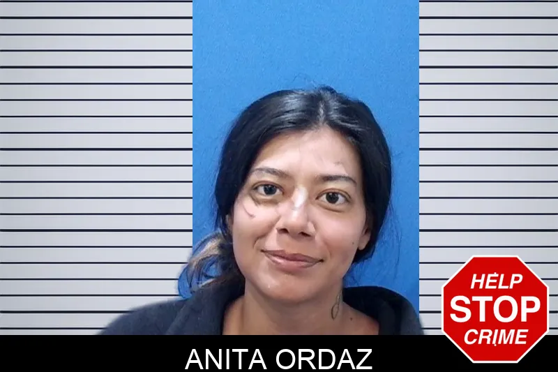 Anita Ordaz mugshot