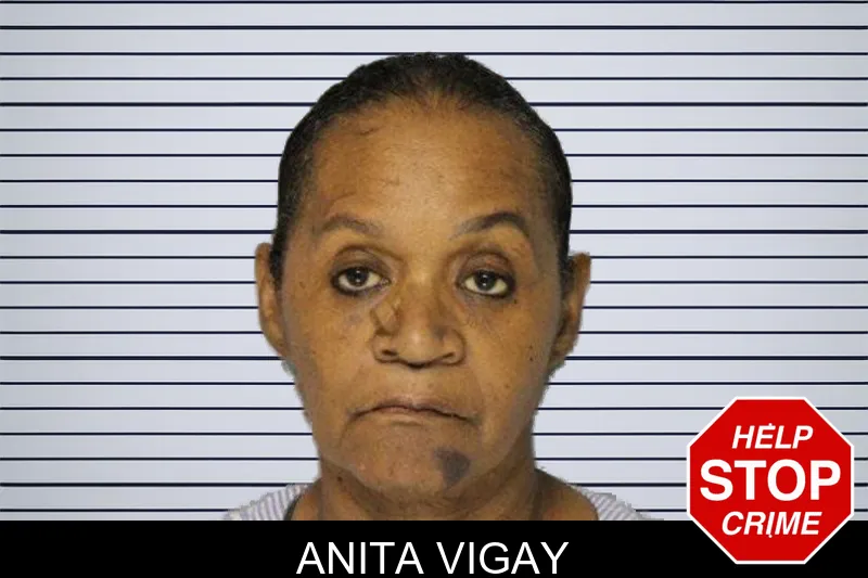 Anita Vigay mugshot