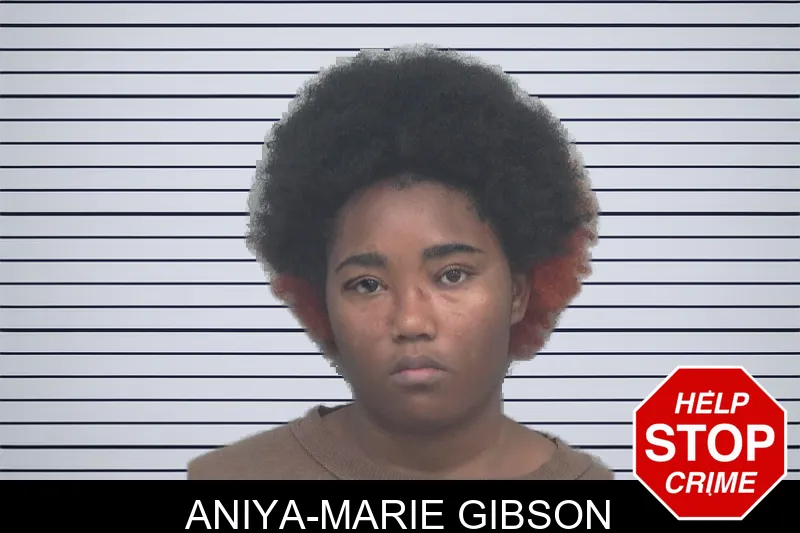 Aniya-Marie Gibson mugshot