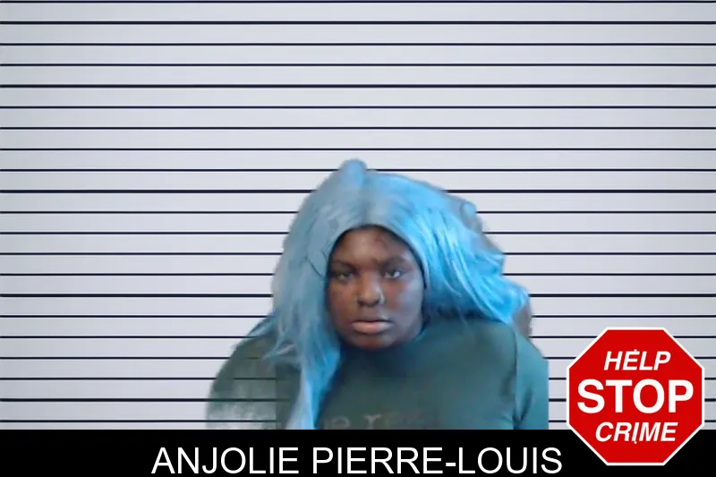 Anjolie Pierre-Louis mugshot