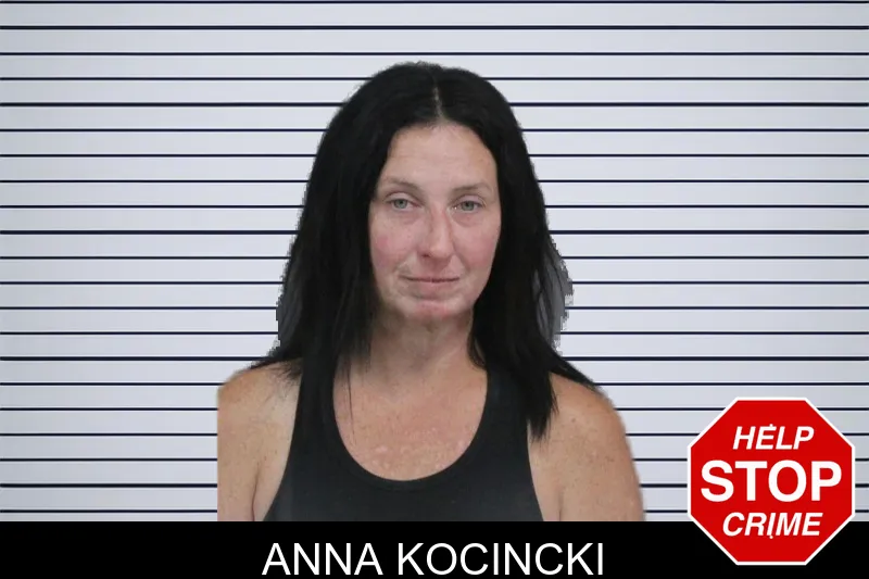 Anna Kocincki mugshot