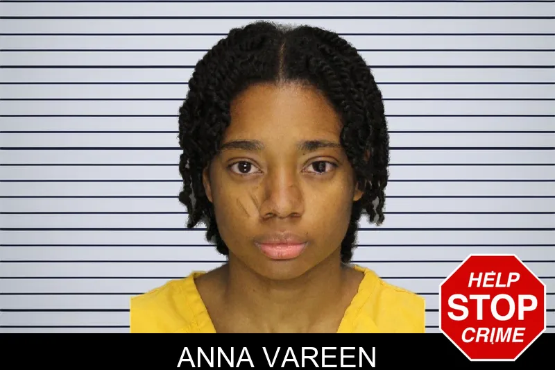 Anna Vareen mugshot