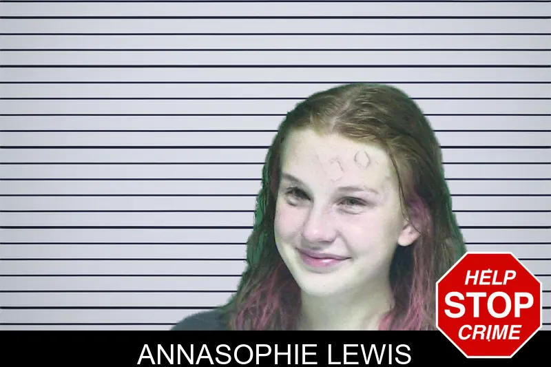 Annasophie Lewis mugshot