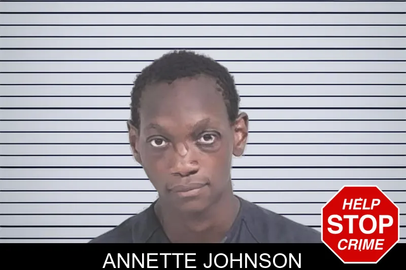 Annette Johnson mugshot