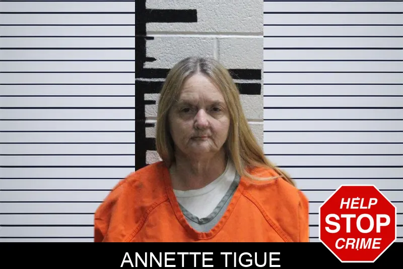 Annette Tigue mugshot