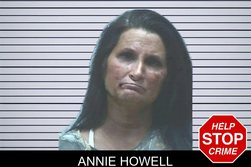 Annie Howell mugshot