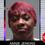 Annie Jenkins mugshot