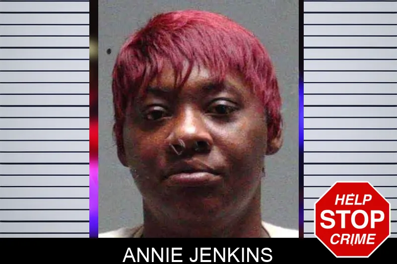 Annie Jenkins mugshot