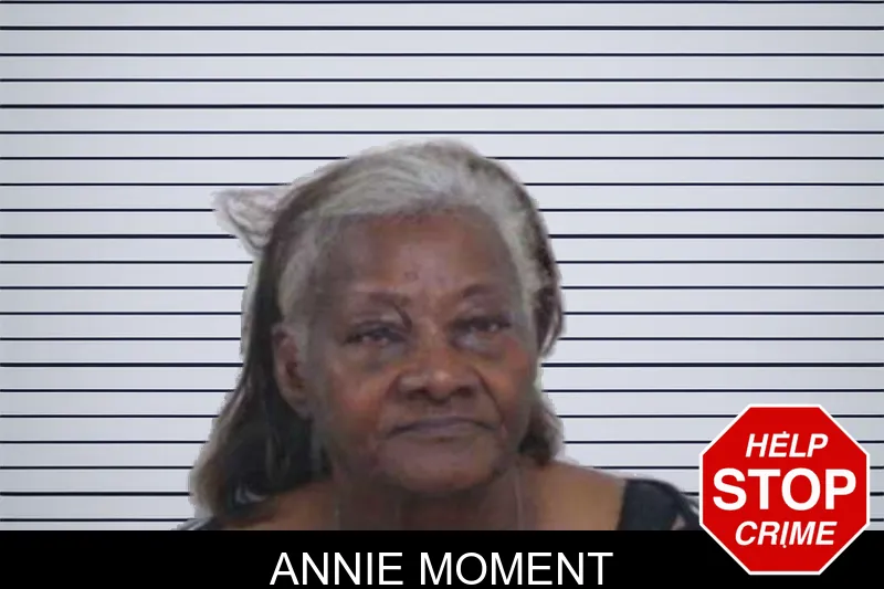 Annie Moment mugshot