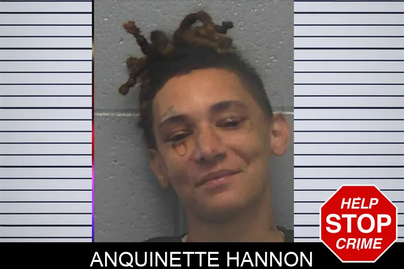 Anquinette Hannon mugshot