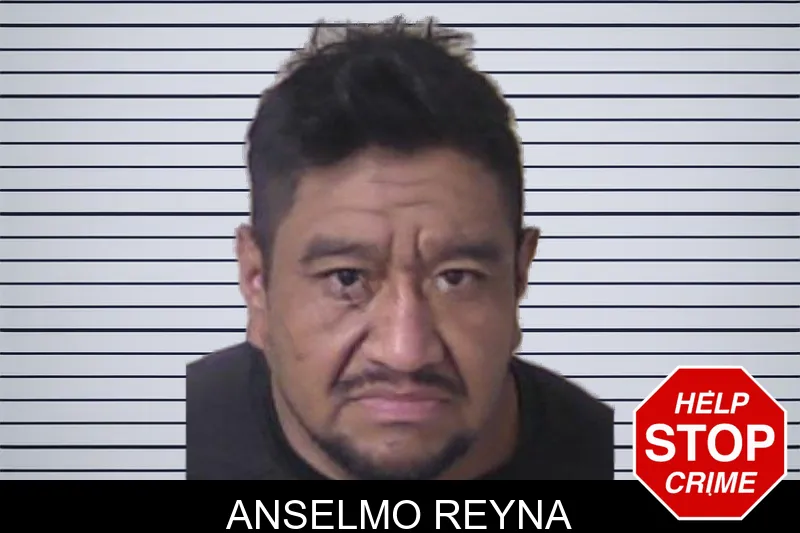 Anselmo Reyna mugshot