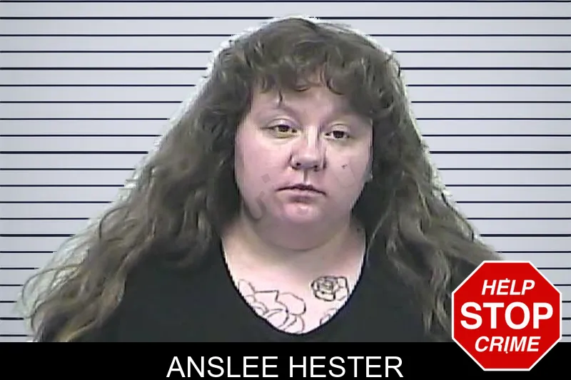 Anslee Hester mugshot
