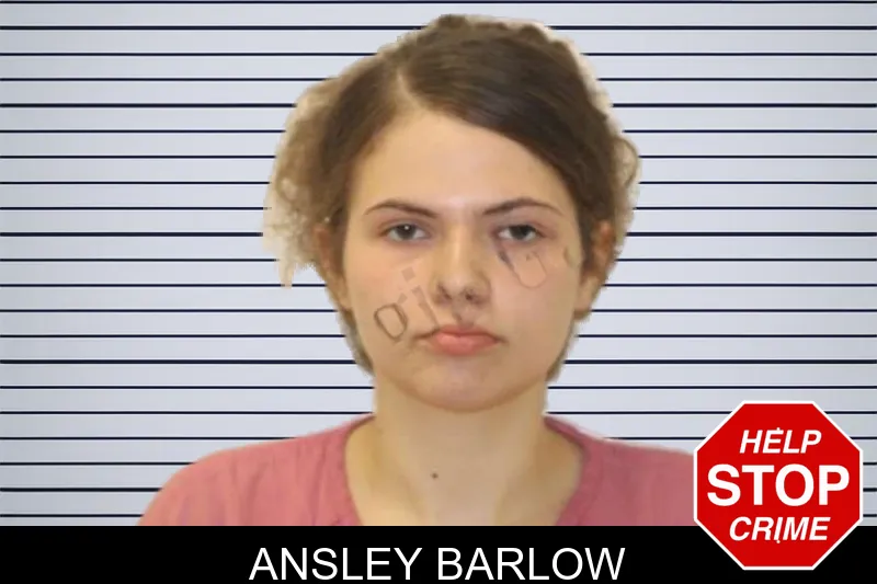 Ansley Barlow mugshot