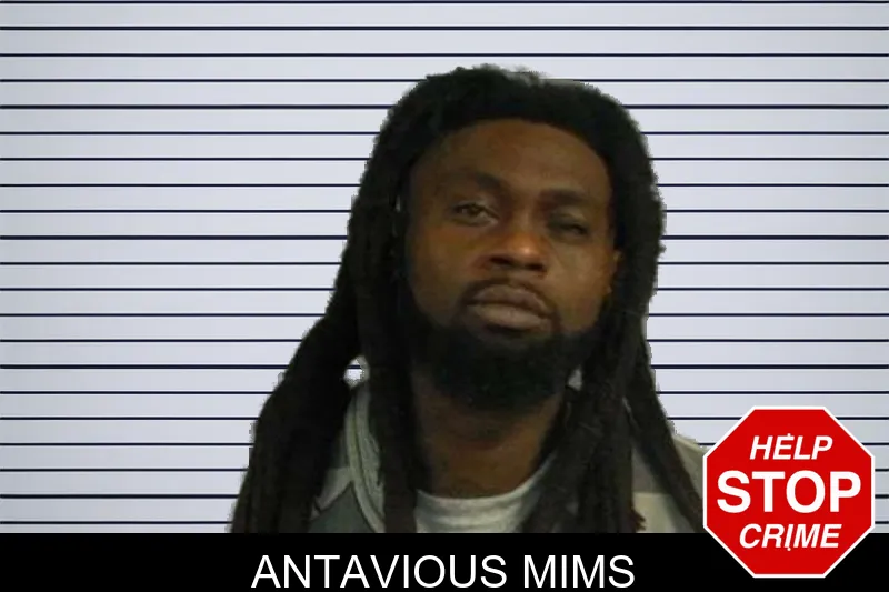Antavious Mims mugshot