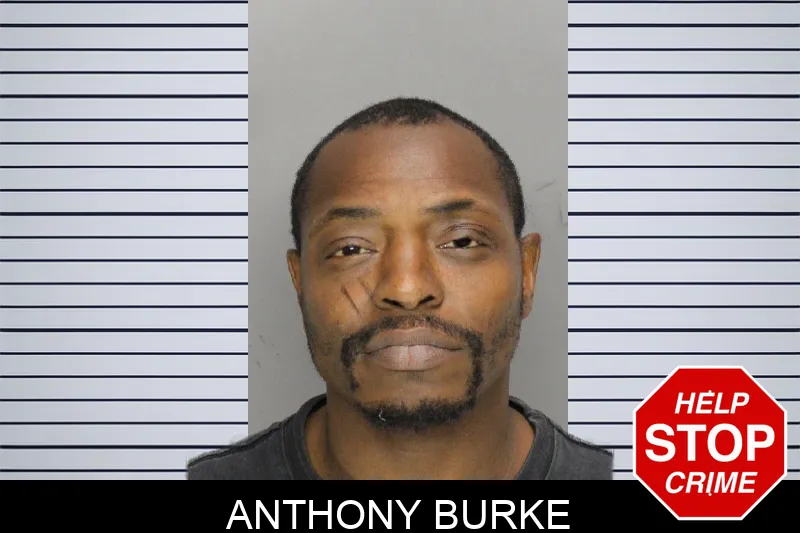 Anthony Burke mugshot