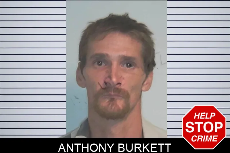 Anthony Burkett mugshot