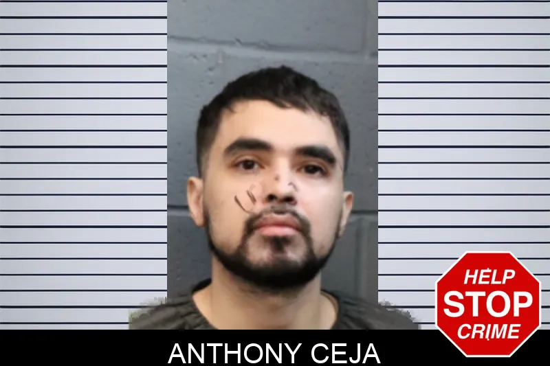 Anthony Ceja mugshot