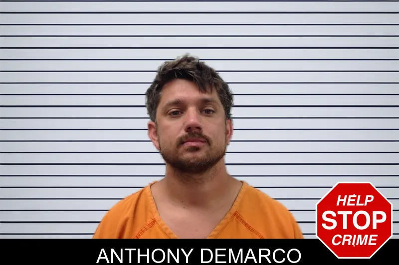 Anthony Demarco mugshot