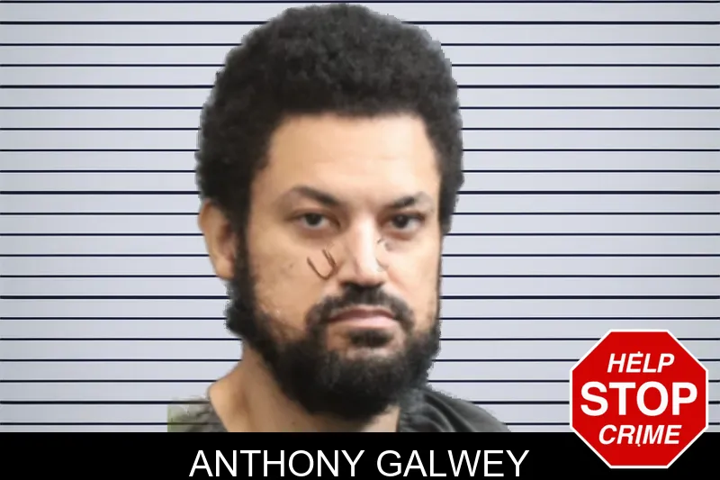 Anthony Galwey mugshot